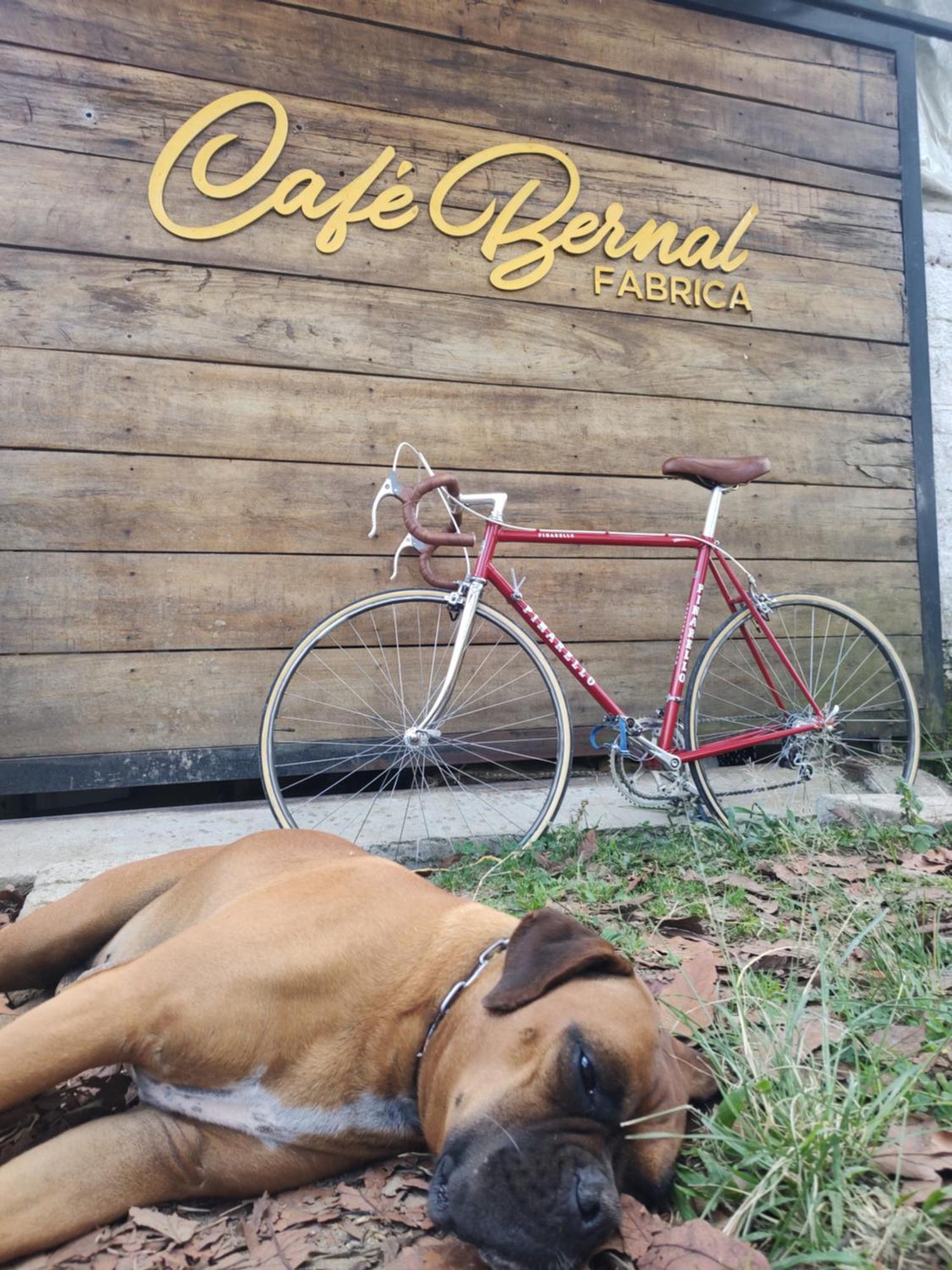 Cafe Bernal 3*